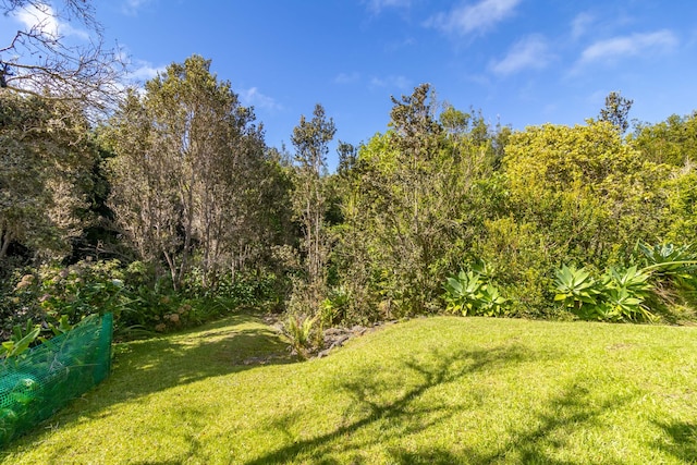 99-1775 Pukeawe Cir, Volcano, HI 96785 - view of grassy yard