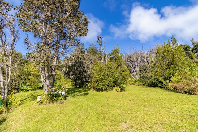 99-1775 Pukeawe Cir, Volcano, HI 96785 - view of green lawn