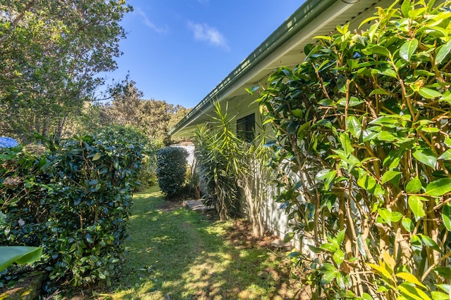 99-1775 Pukeawe Cir, Volcano, HI 96785 - view of yard