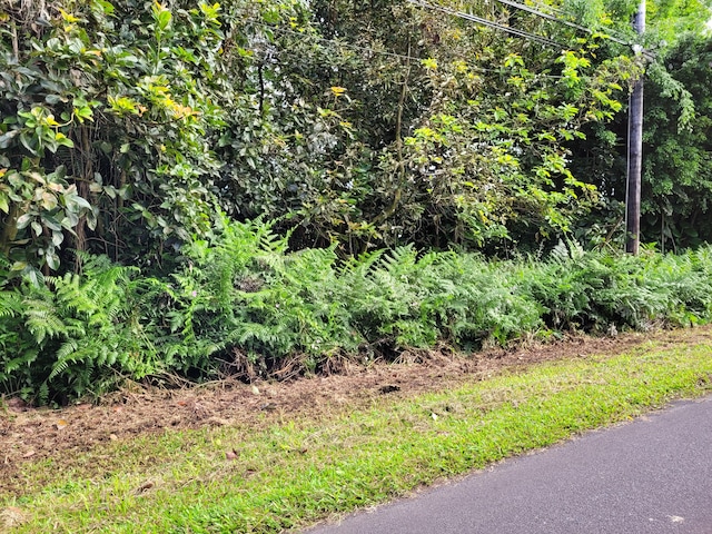 N Leilani Ests, Pahoa, HI 96778