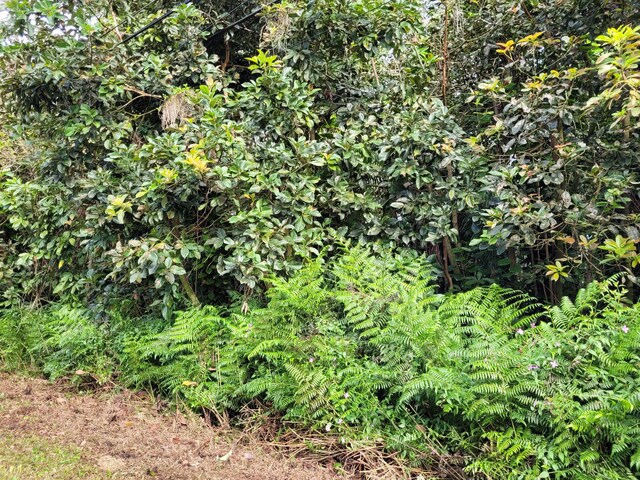 N Leilani Ests, Pahoa, HI 96778