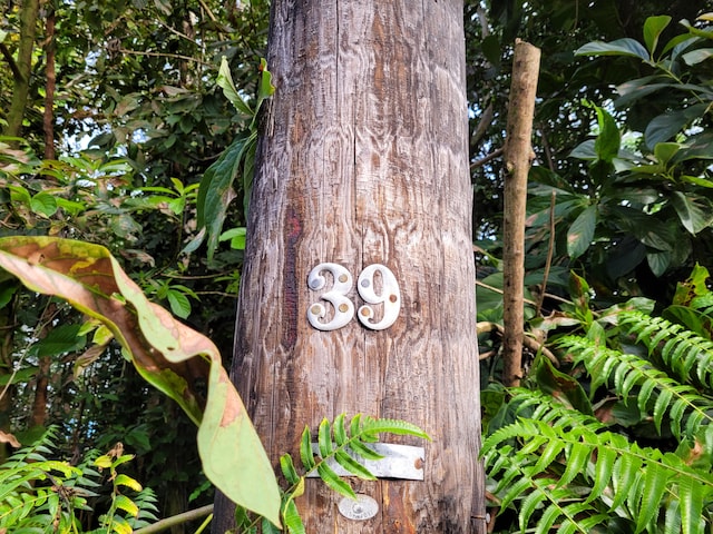 N Leilani Ests, Pahoa, HI 96778