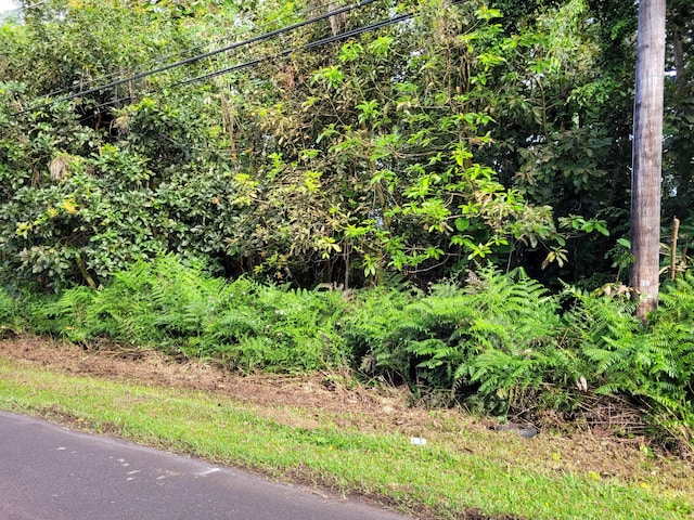 N Leilani Ests, Pahoa, HI 96778