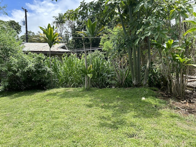 588-A Akahai Pl, Hilo, HI 96720 - view of grassy yard