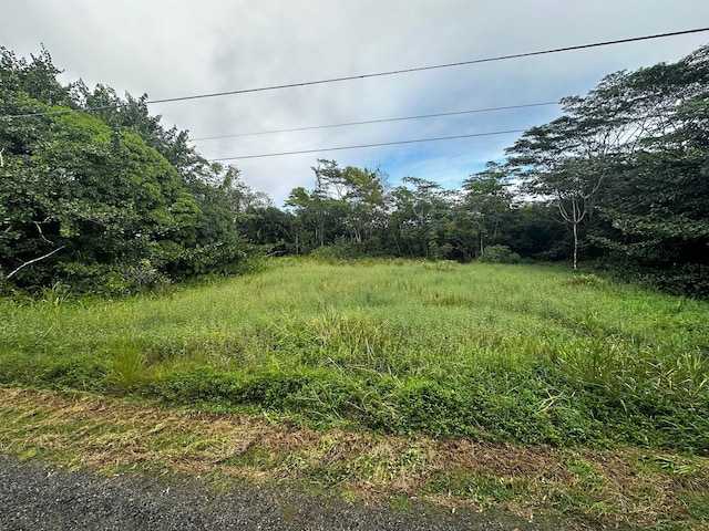15-2005 2nd Ave, Keaau, HI 96749