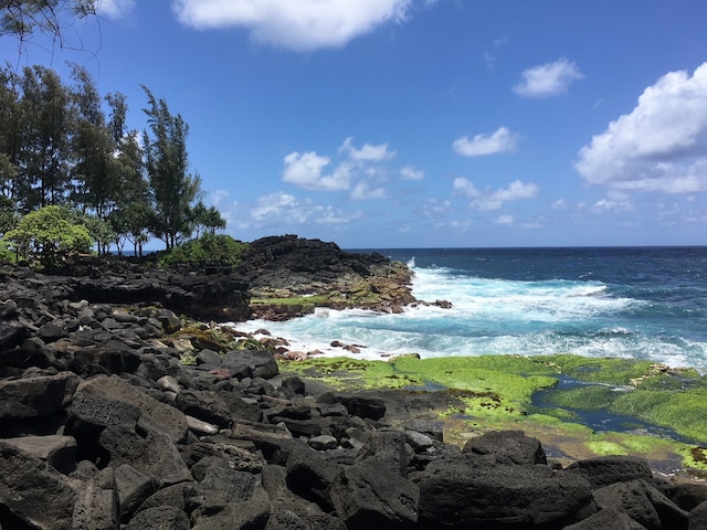 15-2005 2nd Ave, Keaau, HI 96749