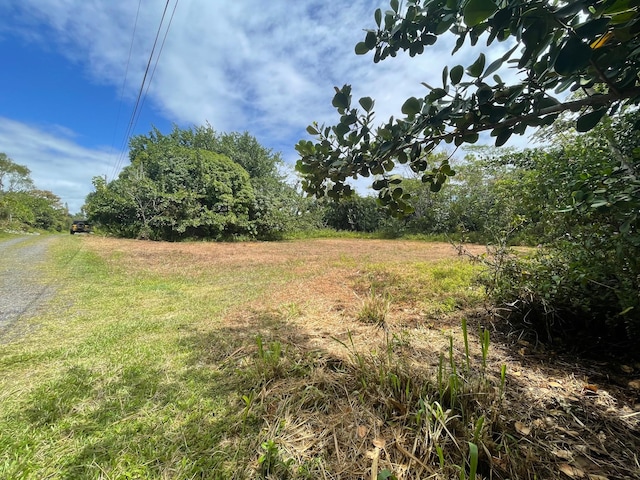 15-2005 2nd Ave, Keaau, HI 96749
