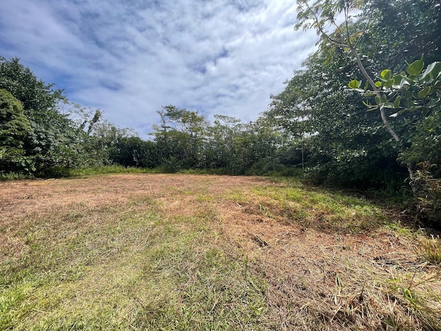 15-2005 2nd Ave, Keaau, HI 96749