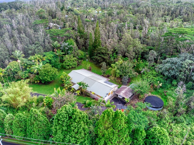 13-979 Kahukai St, Pahoa, HI 96778 - view of subject property with a forest