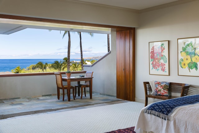 62-3979 Kaunaoa Iki Rd Unit 2A, Kamuela, HI 96743 - bedroom with ornamental molding