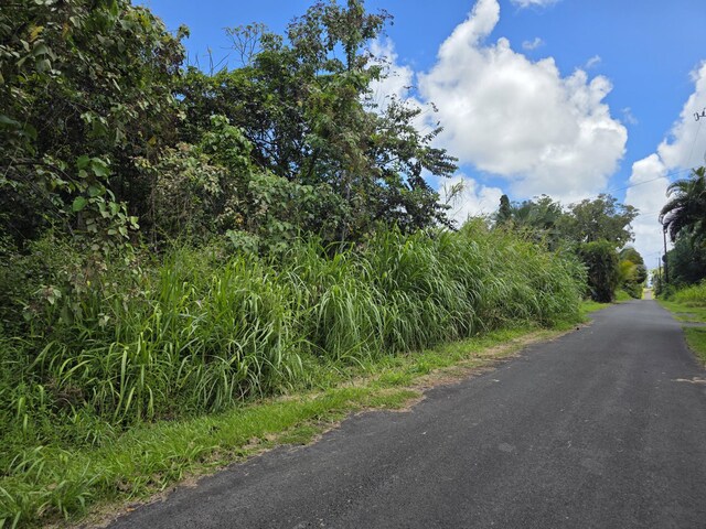 Oopu St, Pahoa, HI 96778 - photo 3