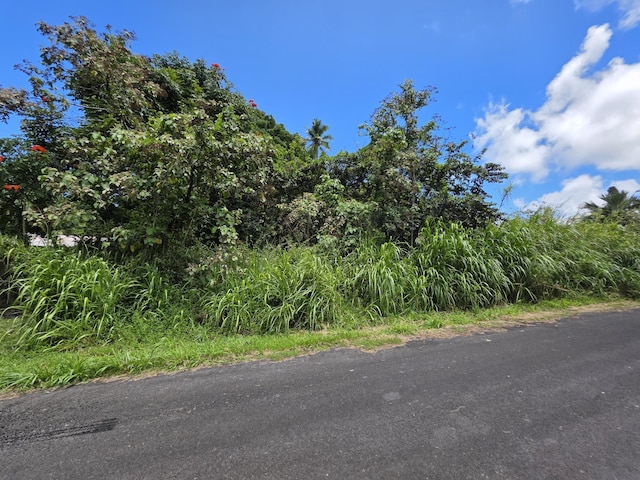 Oopu St, Pahoa, HI 96778 - photo 1