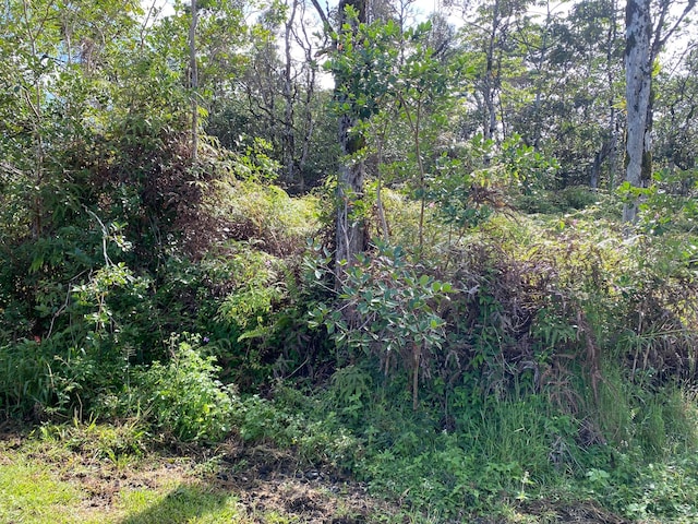 15-2802 Ina St, Pahoa, HI 96778