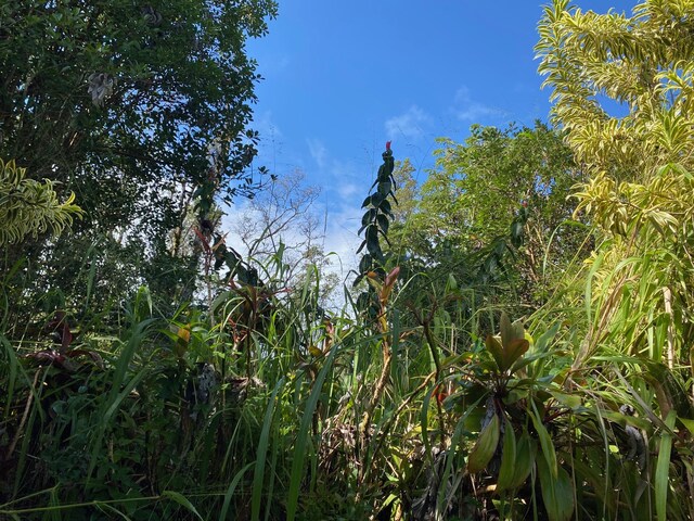 15-2802 Ina St, Pahoa, HI 96778