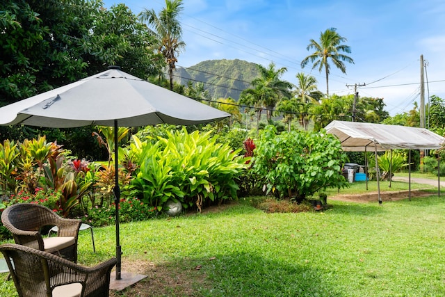 5-7382 Kuhio Hwy, Hanalei, HI 96722 - photo 4