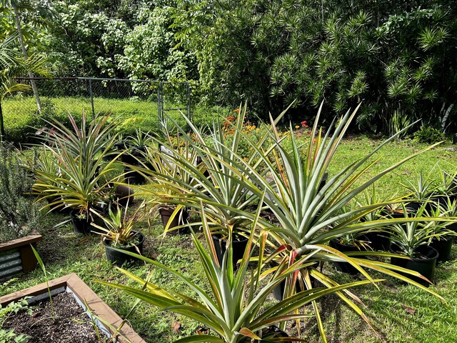 15-376 Puni Makai Loop, Pahoa, HI 96778