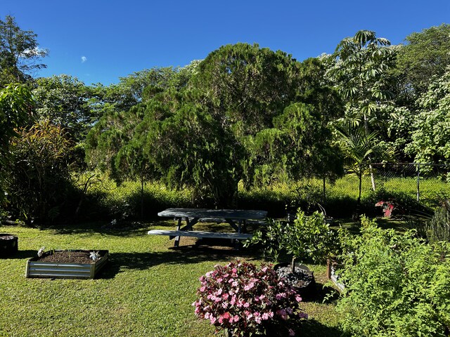 15-376 Puni Makai Loop, Pahoa, HI 96778