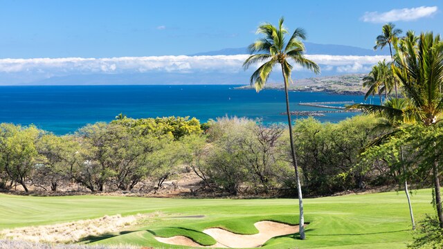 62-3459 Aloalii Pl, Kamuela, HI 96743 - photo 10