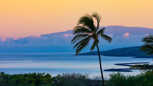 62-3459 Aloalii Pl, Kamuela, HI 96743 - photo 30