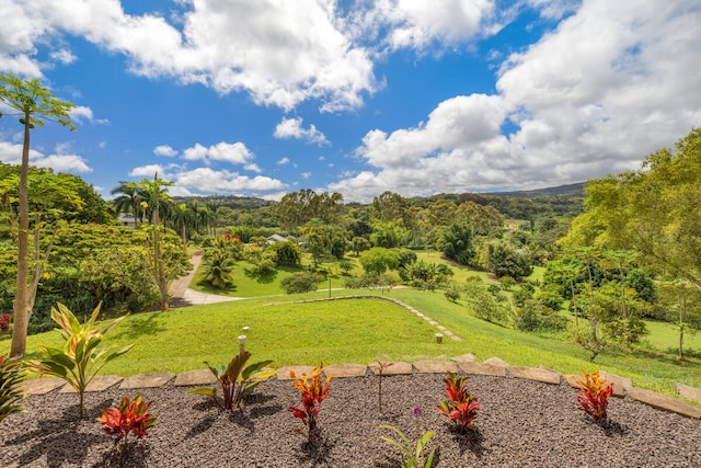 3170 E Iwipoo Rd Unit 2, Kalaheo, HI 96741 - view of green lawn