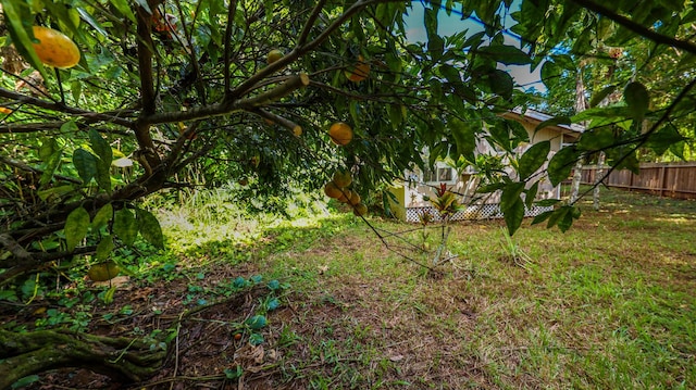 566-A Puuopae Rd, Kapaa, HI 96746 - view of yard