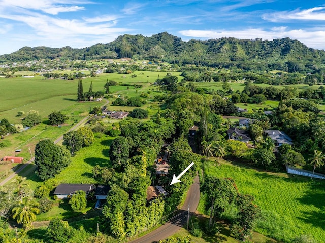 566-A Puuopae Rd, Kapaa, HI 96746 - bird's eye view of a mountainous background