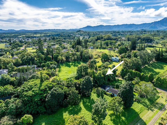 566-A Puuopae Rd, Kapaa, HI 96746 - aerial view of property and surrounding area with a mountainous background