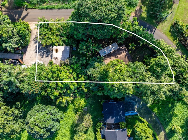 566-A Puuopae Rd, Kapaa, HI 96746 - aerial overview of property's location with property boundaries highlighted