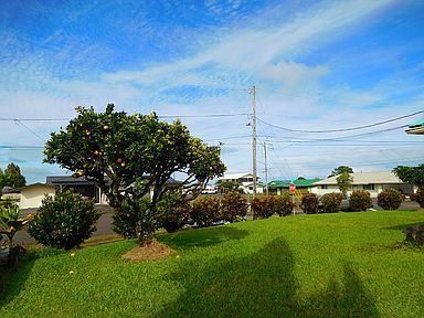 1890 Kaiao St, Hilo, HI 96720 - view of green lawn