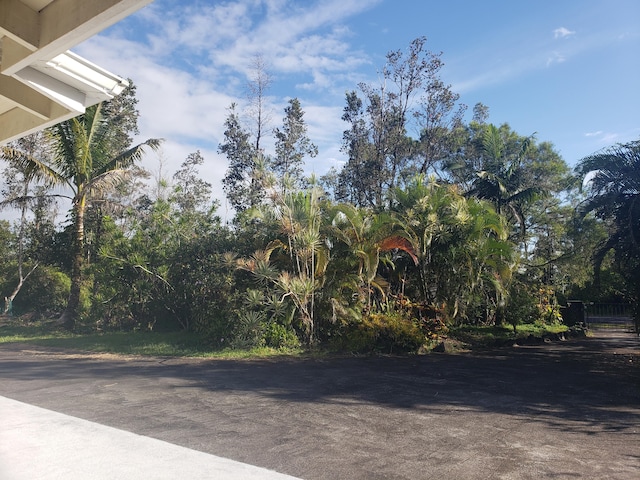 15-1826 32nd Ave, Keaau, HI 96749 - view of road