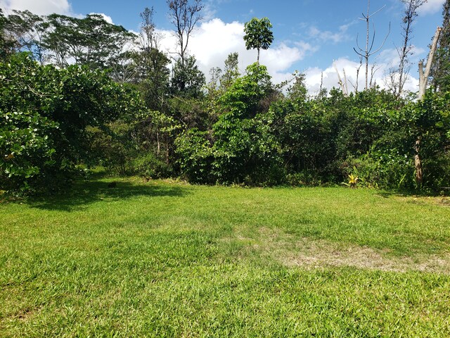 15-1826 32nd Ave, Keaau, HI 96749 - view of grassy yard