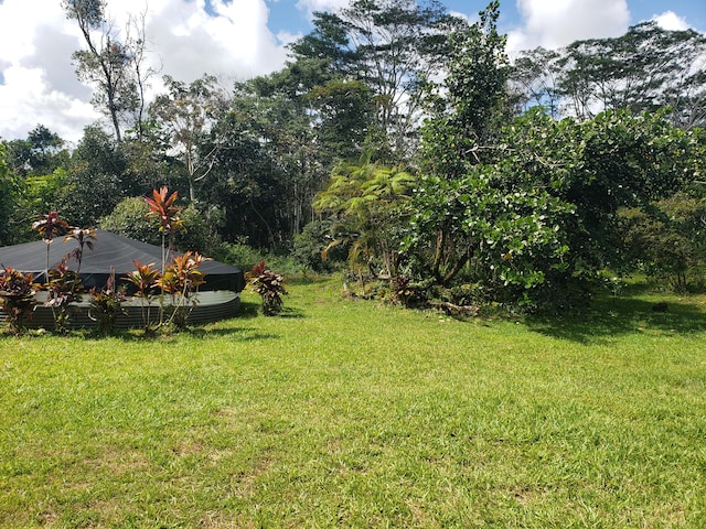 15-1826 32nd Ave, Keaau, HI 96749 - view of grassy yard