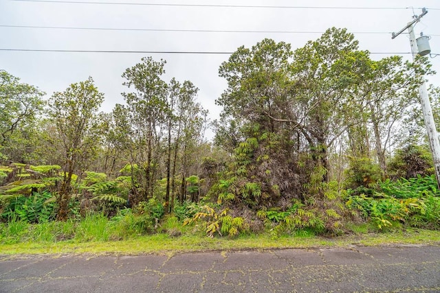 Anuhea St, Volcano, HI 96785