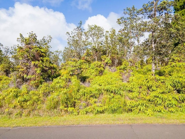 Alii Koa St, Volcano, HI 96785