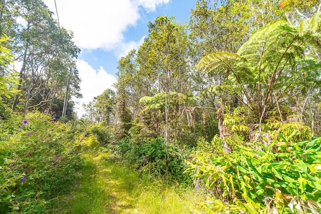 11-3226 Pa Alii St, Volcano, HI 96785