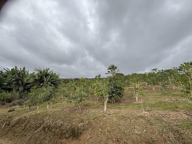 Bruner Rd, Captain Cook, HI 96726