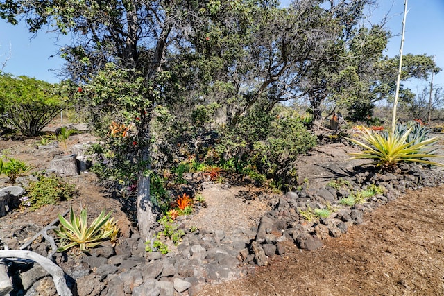 92-8227 Trade Wind Blvd, Ocean View, HI 96737 - view of yard