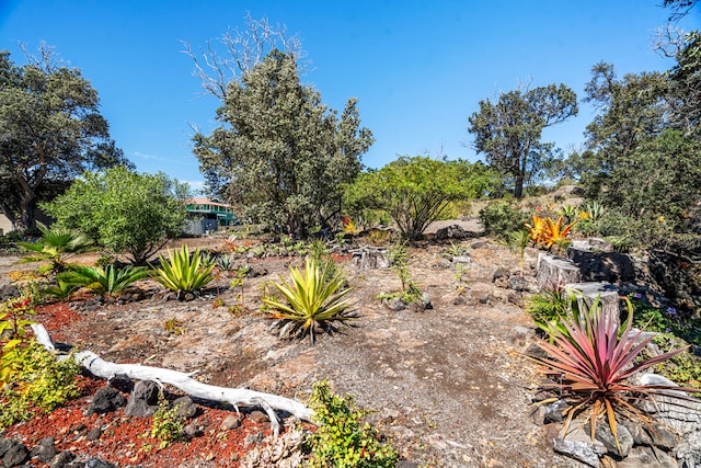 92-8227 Trade Wind Blvd, Ocean View, HI 96737 - view of yard