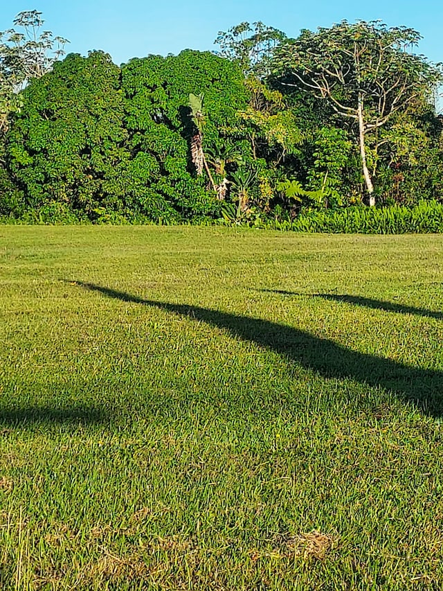 16-300 Ainaloa Blvd, Pahoa, HI 96778 - photo 4