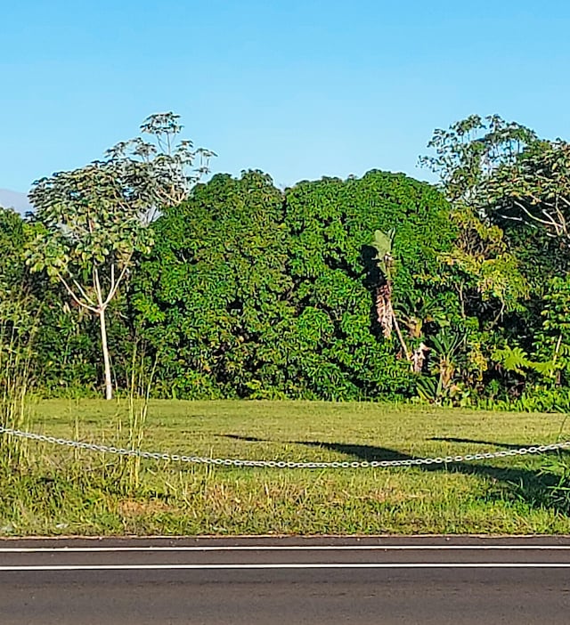 16-300 Ainaloa Blvd, Pahoa, HI 96778 - photo 1