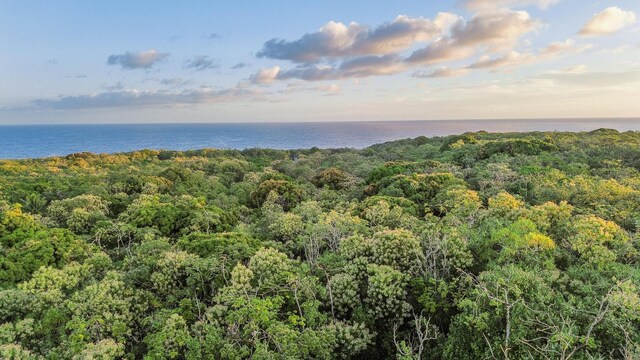 Government Beach Rd, Pahoa, HI 96778 - photo 1