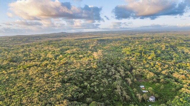 Government Beach Rd, Pahoa, HI 96778 - photo 3