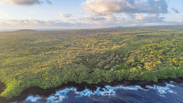 Government Beach Rd, Pahoa, HI 96778 - photo 4