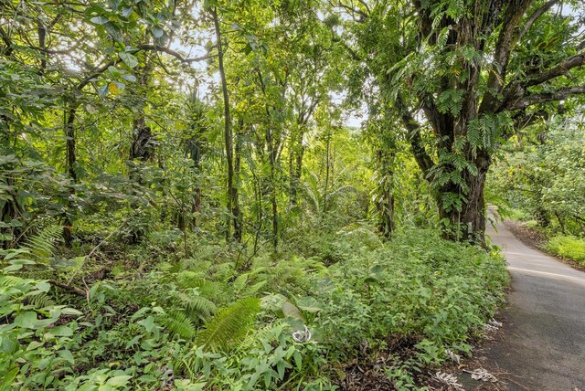 Government Beach Rd, Pahoa, HI 96778 - photo 8