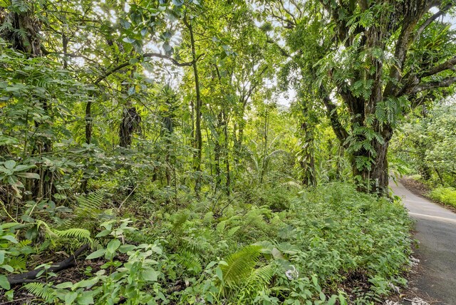 Government Beach Rd, Pahoa, HI 96778 - photo 10
