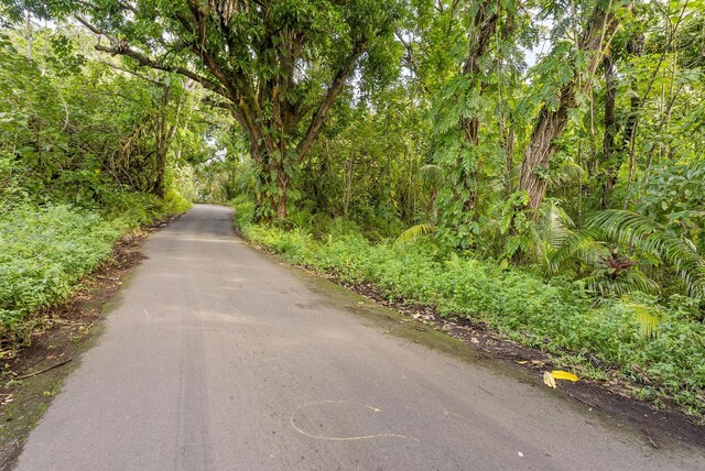 Government Beach Rd, Pahoa, HI 96778 - photo 12