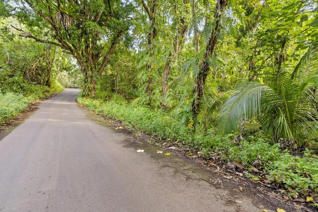 Government Beach Rd, Pahoa, HI 96778 - photo 13