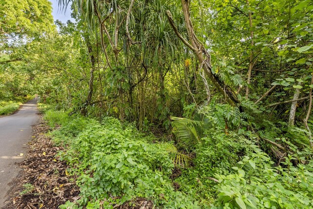 Government Beach Rd, Pahoa, HI 96778 - photo 15