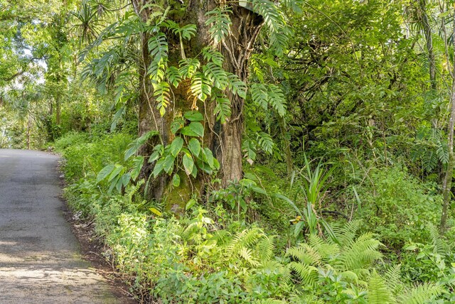 Government Beach Rd, Pahoa, HI 96778 - photo 16
