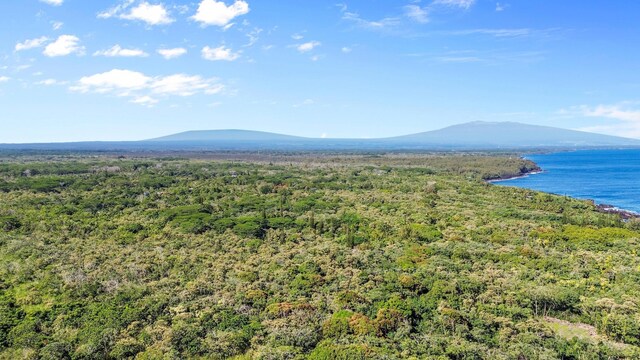 Government Beach Rd, Pahoa, HI 96778 - photo 7
